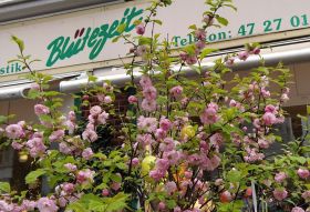 Profesionell, modern, exklusiv