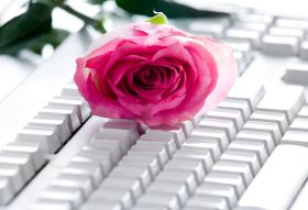 Von Profis f&uuml;r Profis